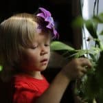 Les enfants orchidées, une sensibilité à fleur de peau 28 une enfant orchidée