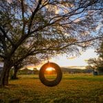 Tout savoir sur la réalisation d'une balançoire pneu : les étapes à suivre 29 Balançoire à pneus