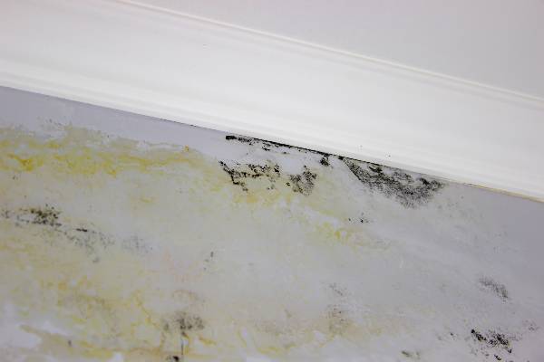 moisissures liés à l'humidité dans la chambre