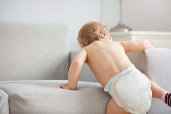culotte d'apprentissage bébé